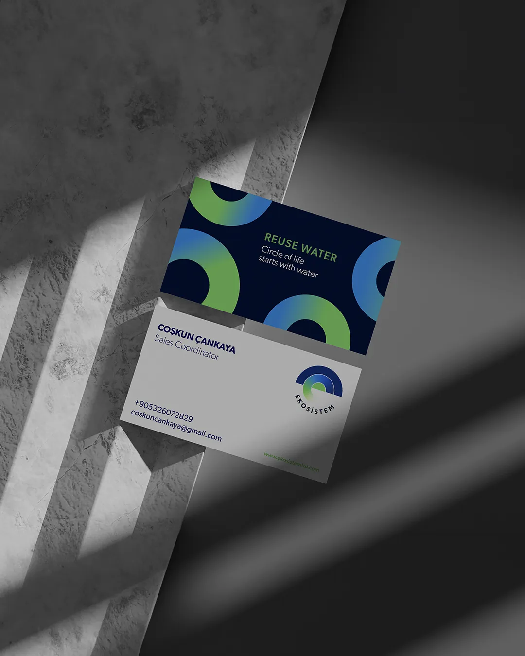 Creating Brands Through Design and Strategy
